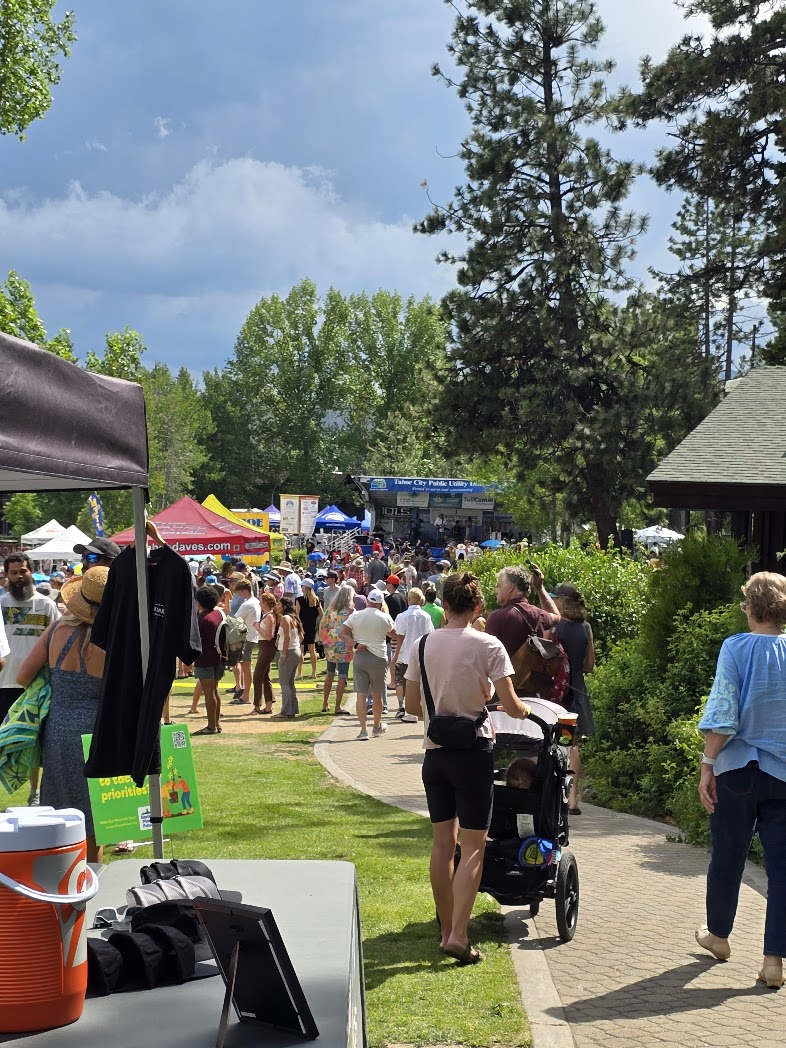 Large crowd at community festival