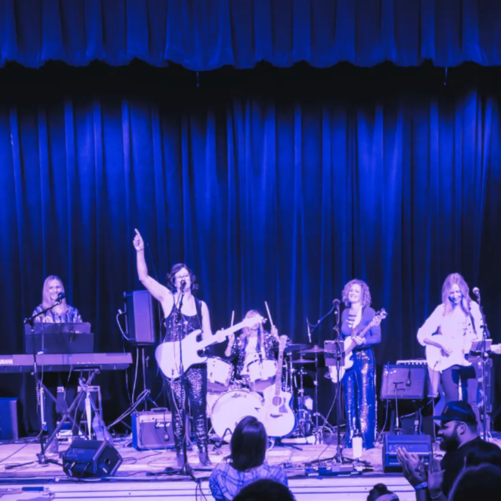 Steel Sparrows performing on stage with blue curtain background